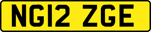 NG12ZGE