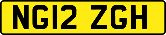 NG12ZGH