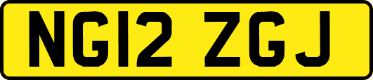 NG12ZGJ