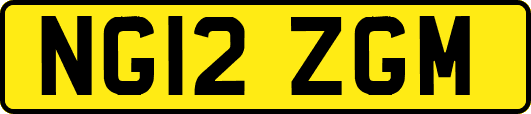 NG12ZGM