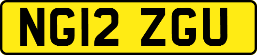 NG12ZGU