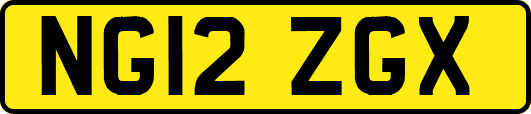 NG12ZGX