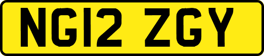 NG12ZGY