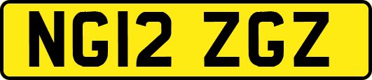 NG12ZGZ