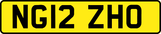 NG12ZHO