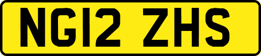 NG12ZHS