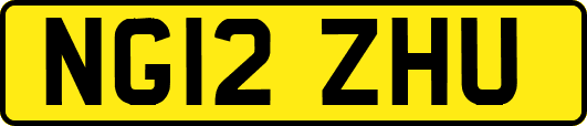 NG12ZHU