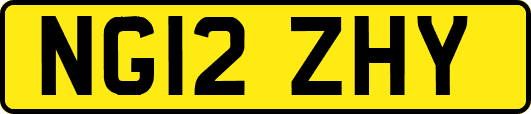 NG12ZHY