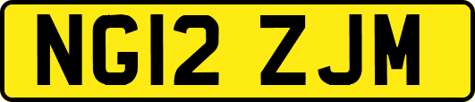 NG12ZJM