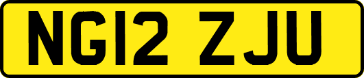 NG12ZJU