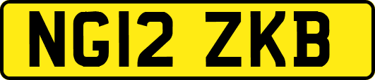NG12ZKB