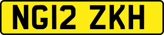 NG12ZKH