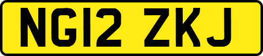 NG12ZKJ