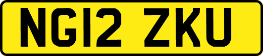 NG12ZKU