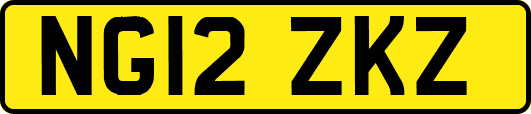 NG12ZKZ