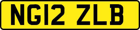 NG12ZLB