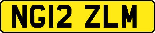 NG12ZLM