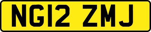 NG12ZMJ