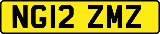 NG12ZMZ