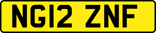 NG12ZNF