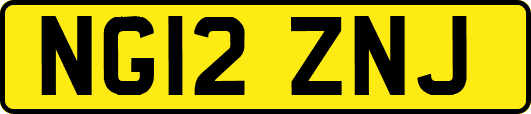 NG12ZNJ