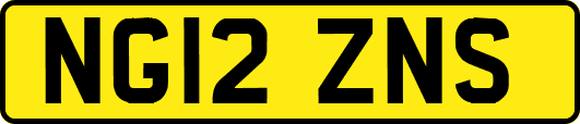 NG12ZNS