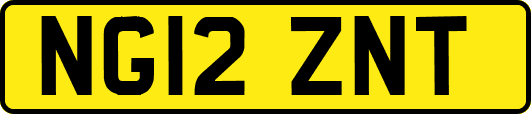 NG12ZNT