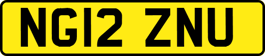 NG12ZNU