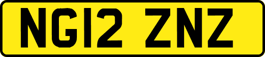 NG12ZNZ