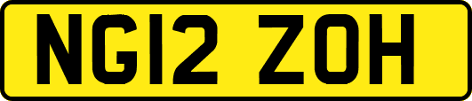 NG12ZOH