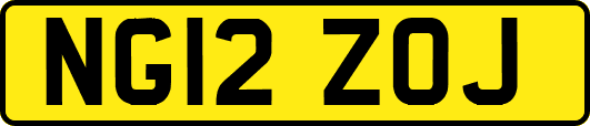 NG12ZOJ