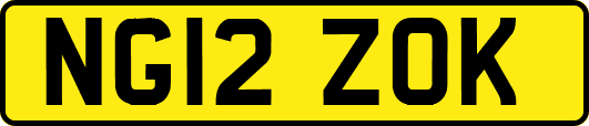 NG12ZOK