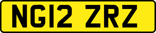 NG12ZRZ