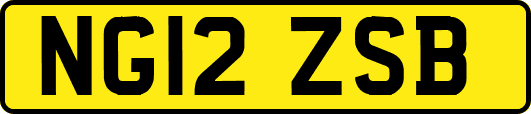 NG12ZSB