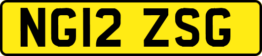 NG12ZSG