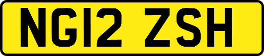 NG12ZSH