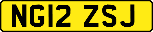 NG12ZSJ