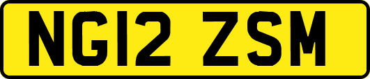 NG12ZSM