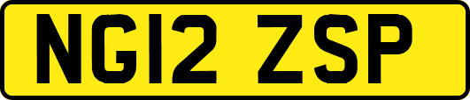 NG12ZSP
