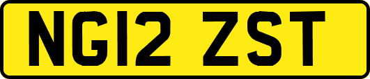 NG12ZST
