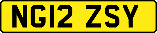 NG12ZSY