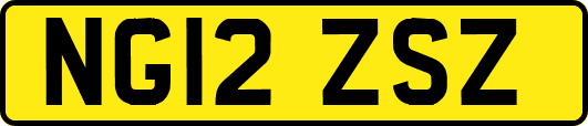 NG12ZSZ