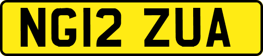 NG12ZUA