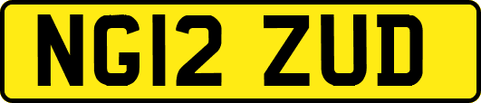 NG12ZUD