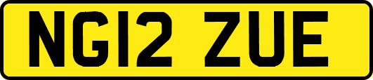 NG12ZUE