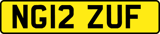 NG12ZUF