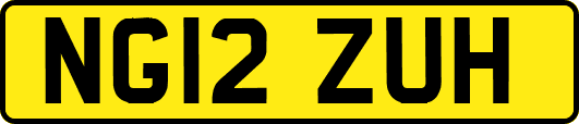 NG12ZUH