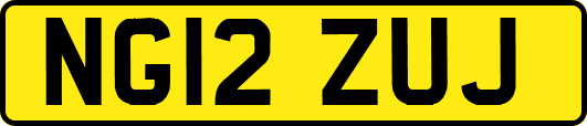 NG12ZUJ