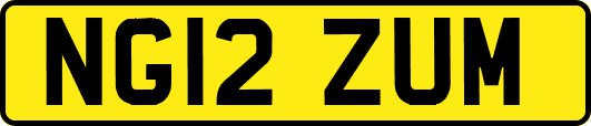 NG12ZUM