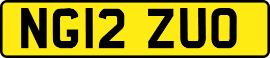 NG12ZUO